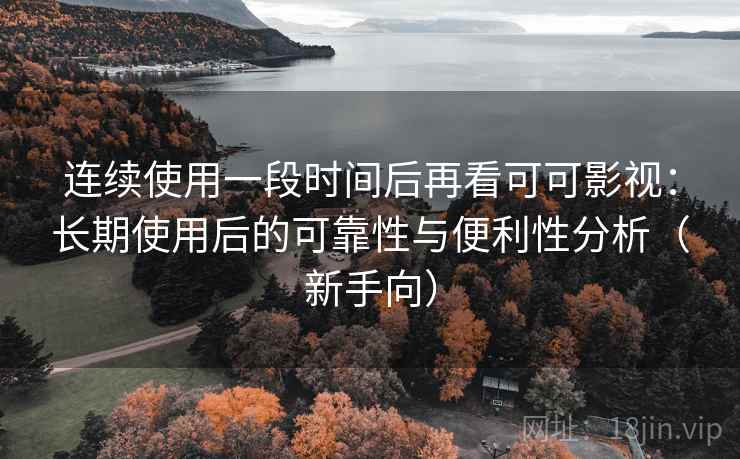 连续使用一段时间后再看可可影视：长期使用后的可靠性与便利性分析（新手向）