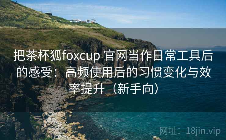 把茶杯狐foxcup 官网当作日常工具后的感受：高频使用后的习惯变化与效率提升（新手向）
