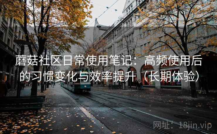 蘑菇社区日常使用笔记：高频使用后的习惯变化与效率提升（长期体验）