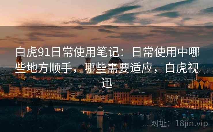 白虎91日常使用笔记：日常使用中哪些地方顺手，哪些需要适应，白虎视迅