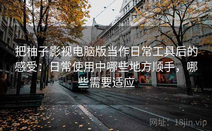 把柚子影视电脑版当作日常工具后的感受：日常使用中哪些地方顺手，哪些需要适应