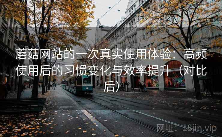 蘑菇网站的一次真实使用体验：高频使用后的习惯变化与效率提升（对比后）