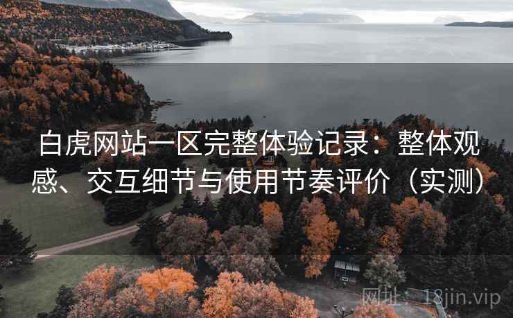白虎网站一区完整体验记录：整体观感、交互细节与使用节奏评价（实测）